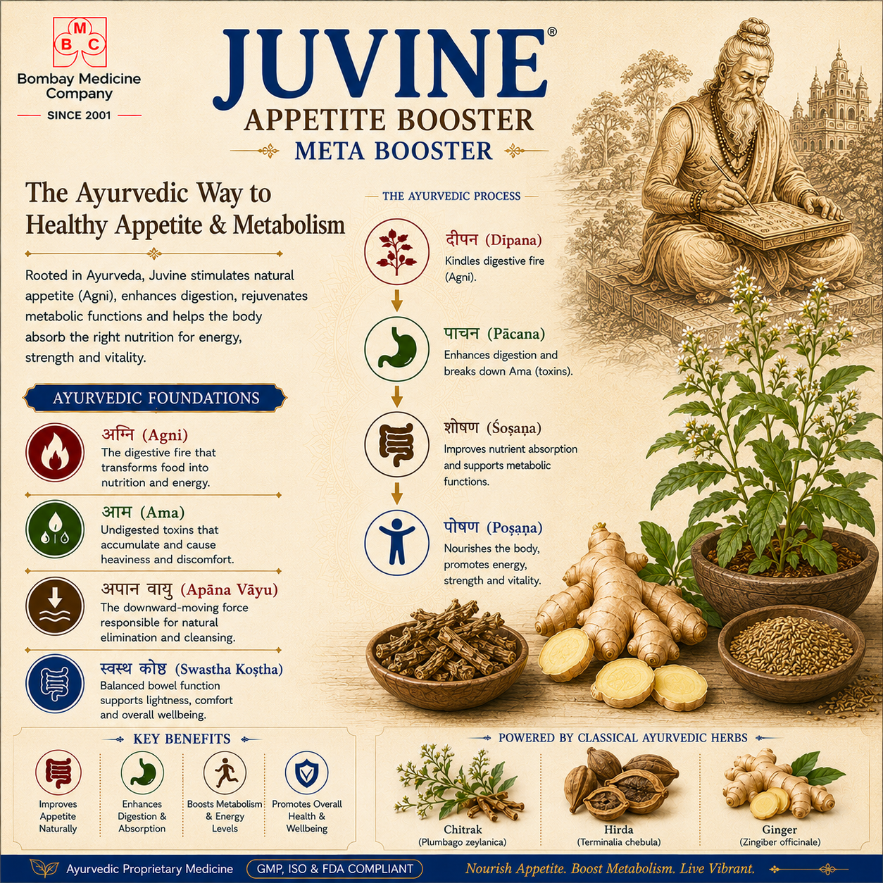 Juvine - Ayurvedic Metabolism & Digestive Formulation