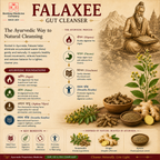 Falaxee - Ayurvedic Gut Health Formulation