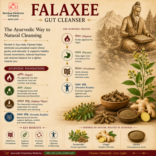 Falaxee - Ayurvedic Gut Health Formulation